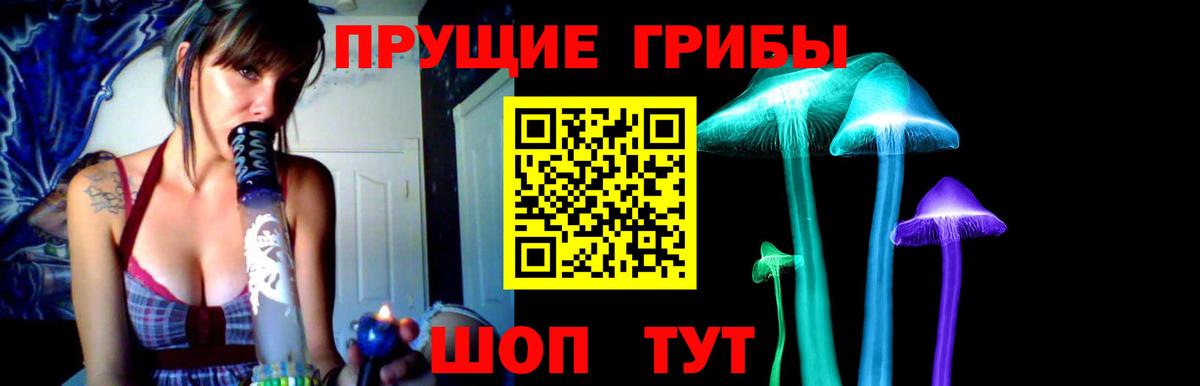 Прохладный  Галлюциногенные грибы Psilocybine cubensis  Вход с VPN 